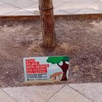 El parc del Llombo d'Ontinyent portarà el nom de Juan Carlos Ferrero