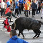 Ontinyent viu un intens dissabte de "bou en corda"
