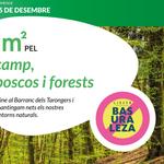 Organizan una recogida de "basuraleza" en el barranco dels Tarongers