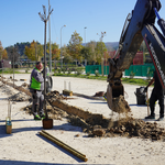 Ontinyent planta 70 nuevos árboles en los colegios Carmelo Ripoll y Bonavista