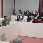 Ontinyent aprova el nou plec del Servei d’Ajuda a Domicili  