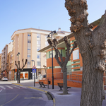 Ontinyent retirarà 45 moreres en mal estat per evitar riscos 