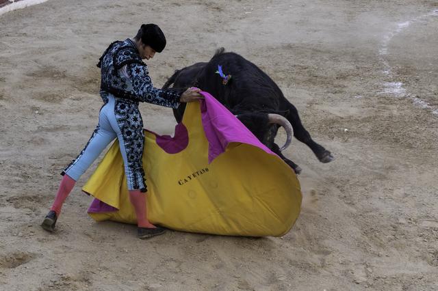 Bocairent tendrá una novillada y una corrida de toros mixta