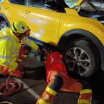 Los Bomberos de Ontinyent rescatan un perro atrapado en el motor de un vehículo