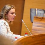La Diputació aprova una declaració conjunta del 8M 