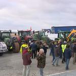 Agricultores de la Vall d'Albaida protestan en defensa del sector agrario