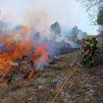 Estabilizado el incendio de la Pobla del Duc