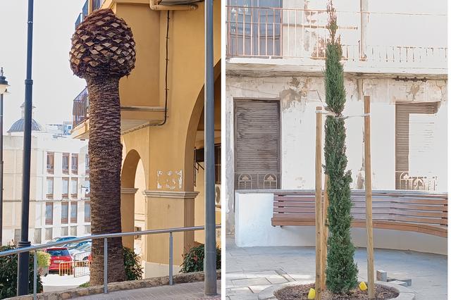 Detecten morrut roig en palmeres del carrer Major i Regall