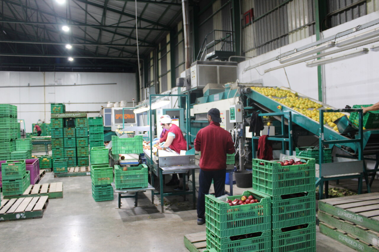 Cooperativa Cofrudeca en Bèlgida.