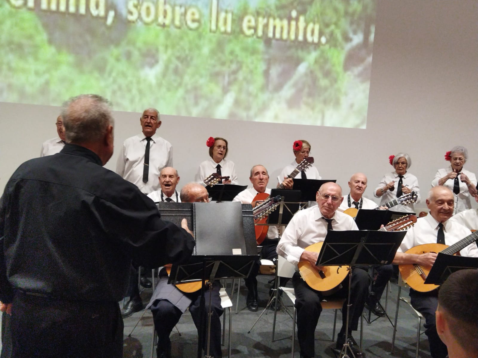 Concierto del pasado domingo
