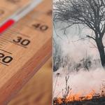 Protección Civil y Emergencias mantiene la alerta por riesgo de incendios forestales 