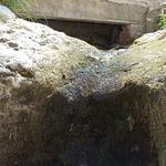 Alerten de les conseqüències de la sequera en el Pou Clar i la serra Mariola