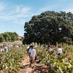 La Diputació de València celebra el Día Mundial del Turismo 2024 