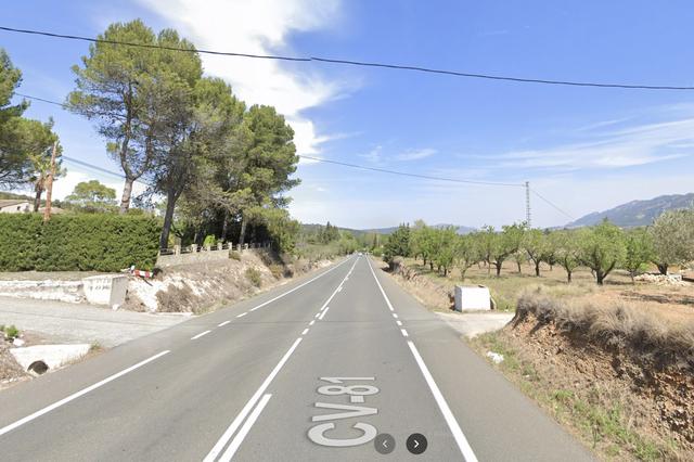 Choque entre un coche y una manada de jabalís