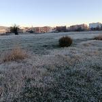 Ontinyent amaneix amb una fina capa blanca