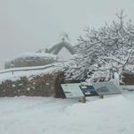 La nieve tiñe de blanco la sierra Mariola