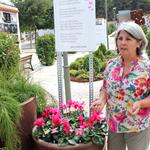 Ontinyent visibiliza la muerte gestacional, perinatal y neonatal