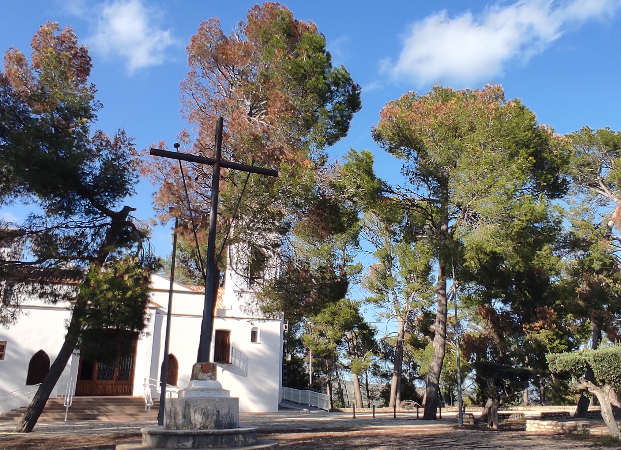 Pinos de Santa Ana 