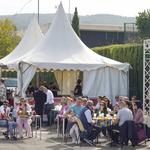 Els gitanos i els ontinyentins