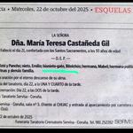El gato de doña María Teresa 