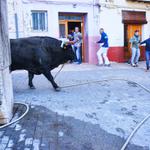 El Bou en Ontinyent: diez atenciones médicas y ningún traslado al hospital