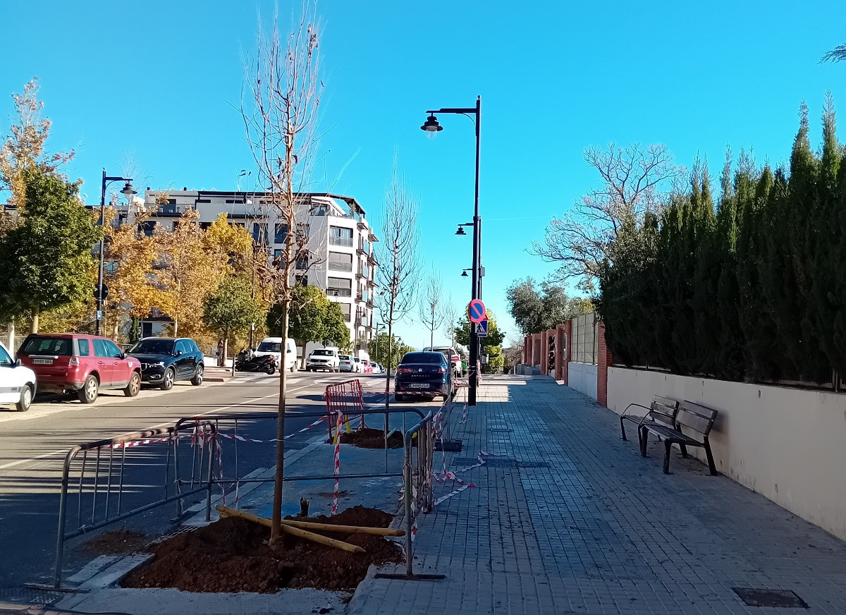 Nuevos árboles