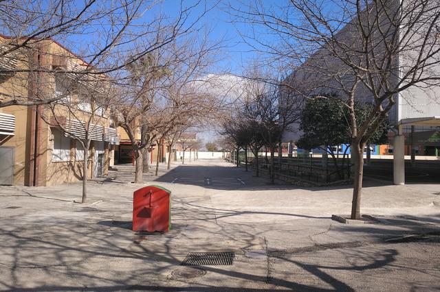 Els centres escolars d'Ontinyent voten majoritàriament a favor del valencià