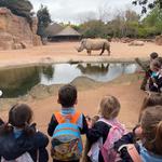 El colegio La Concepción de Ontinyent visita el bioparc