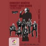 Concierto de la Orquesta Troya a beneficio de ANIMA