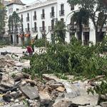 La plaça de la Concepció canvia d'imatge