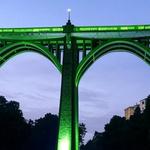 Ontinyent il·lumina el Pont de Santa Maria per visualitzar les malalties FSHD i ELA