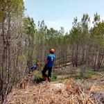 Ontinyent finalitza les actuacions de prevenció d’incendis a Sant Esteve 