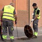Ontinyent intensifica el control de plagues urbanes amb tractaments ecològics i resposta ràpida