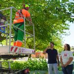 Ontinyent posa a punt els centres educatius per a l’inici del curs